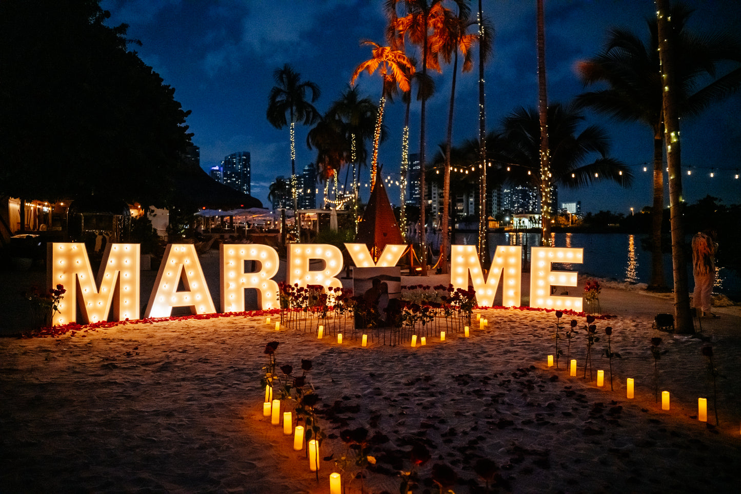 Marriage Proposal Timeless Love