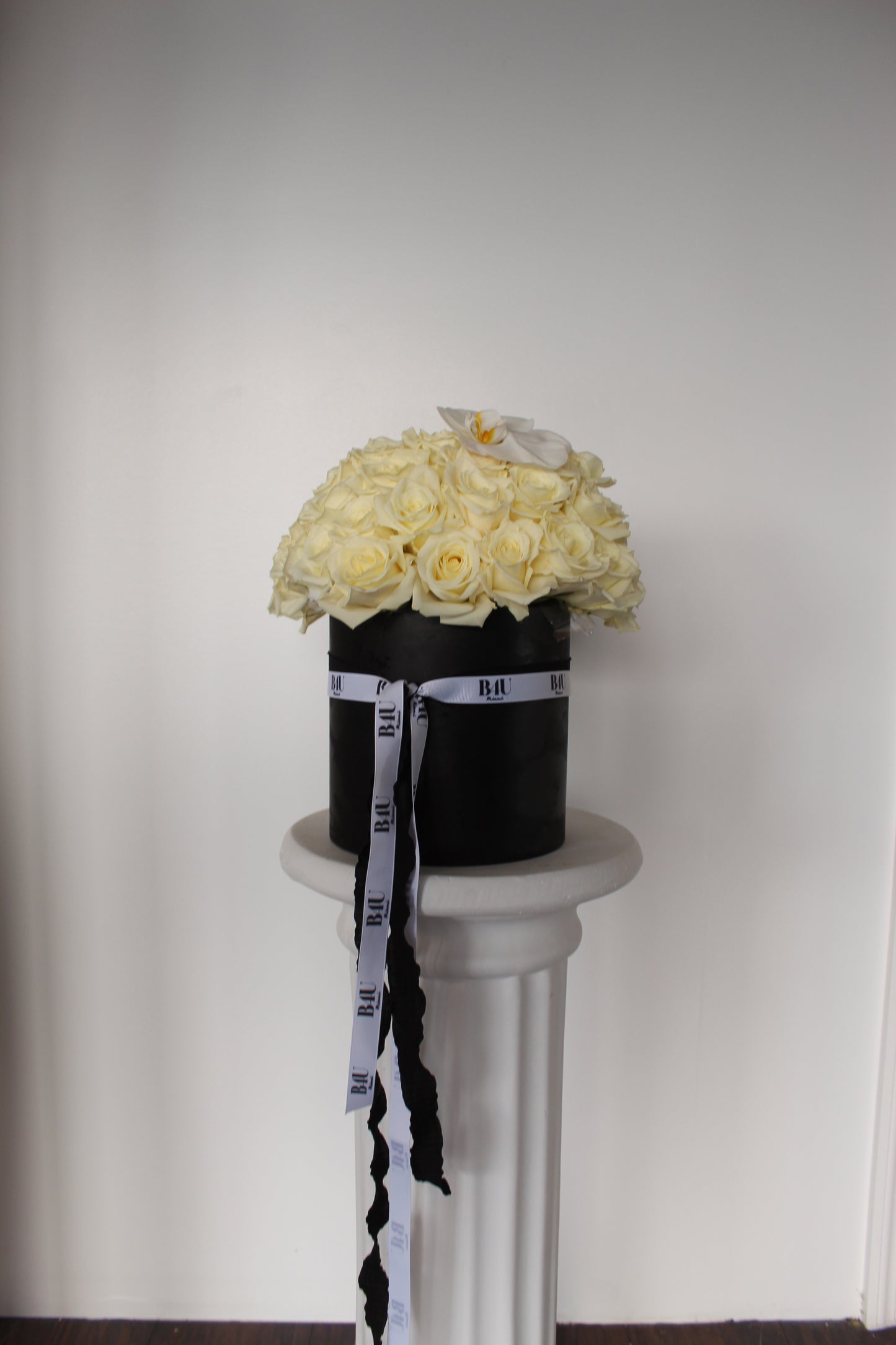 White roses box with orchid stems
