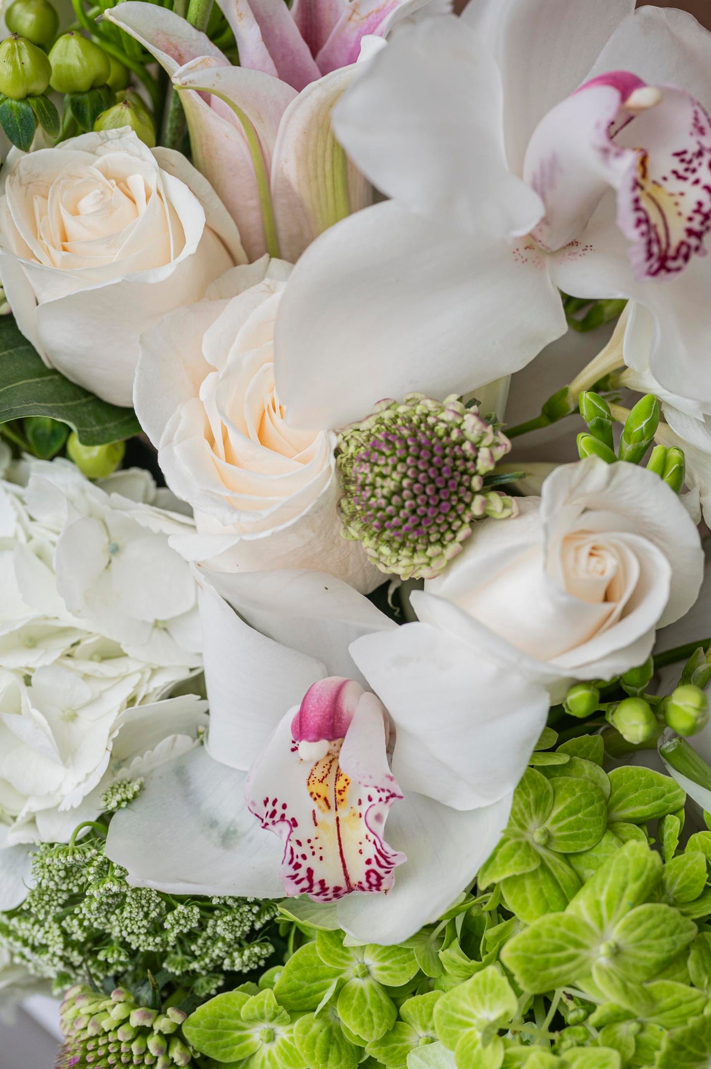 Bloom my Day