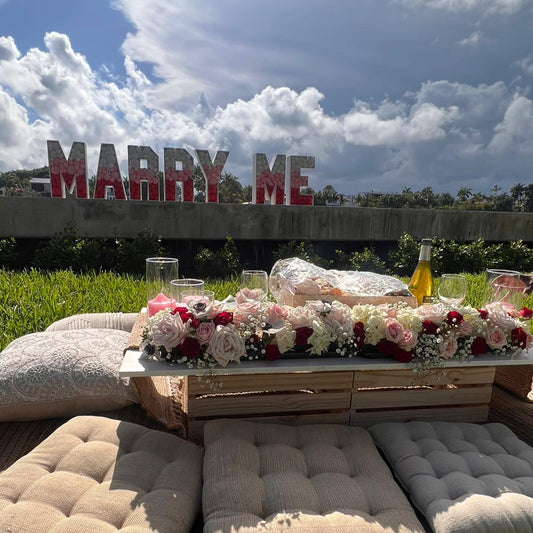 Marry Me Picnic Proposal