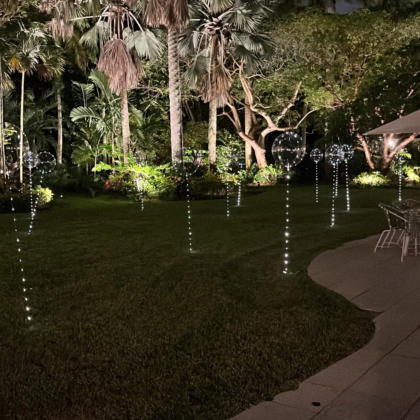 LED Balloons