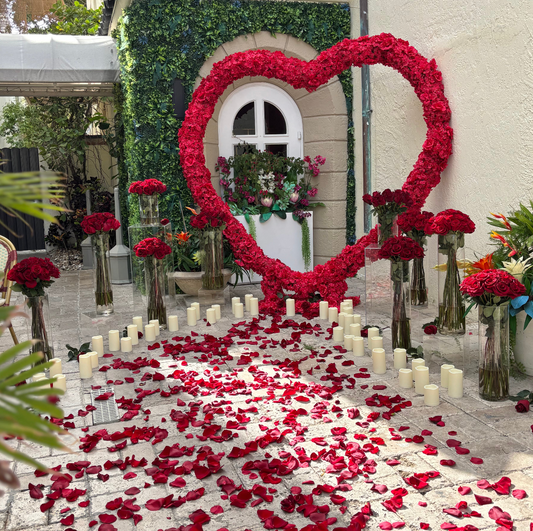 Love in Red Proposal