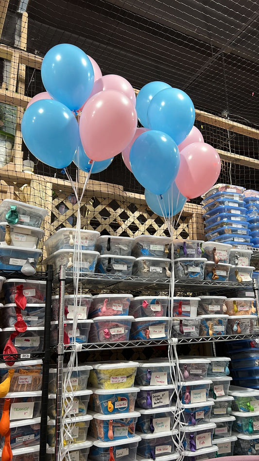 Gender Reveal Bundle