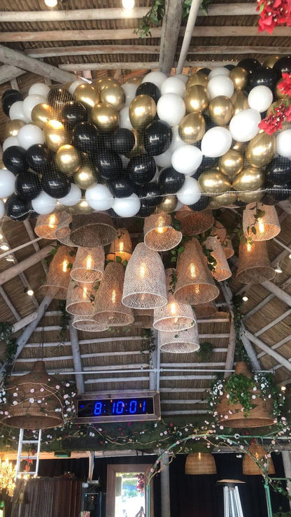 New Years Eve/ Holiday Balloon Drop